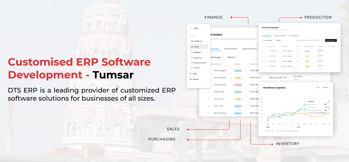 erp software development Tumsar