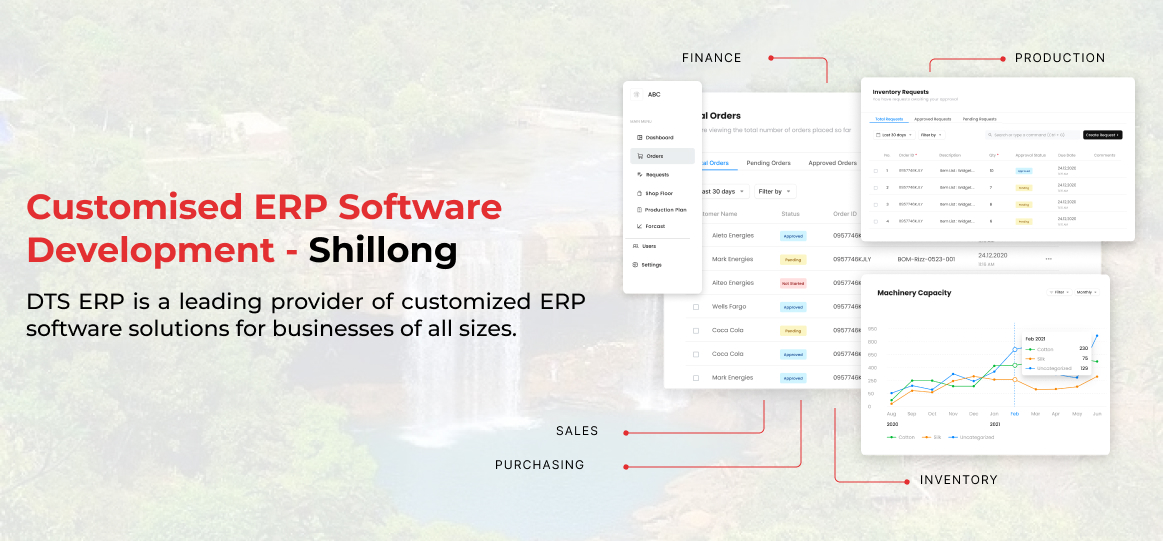 erp software development Shillong